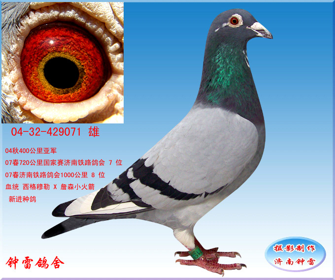 穆勒071