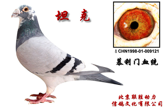 坦克 --幕利门血统 