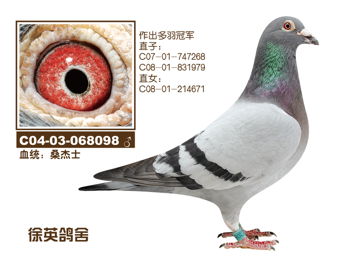 桑杰士