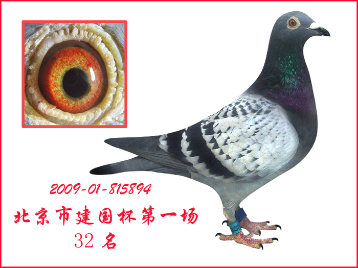 09年北京市秋季特比32名