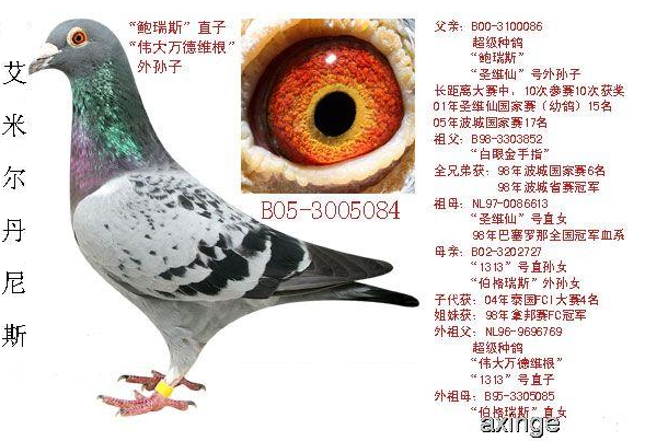 艾米尔丹尼斯