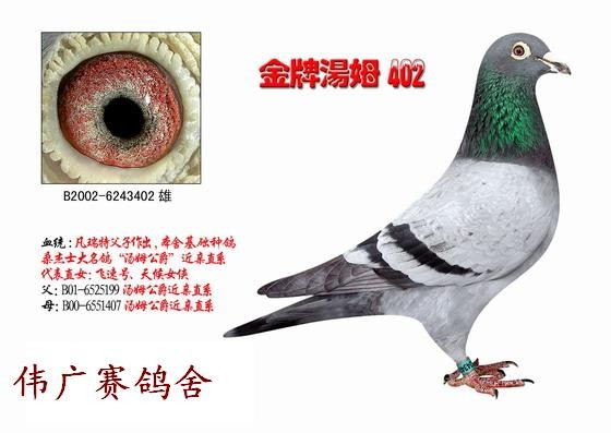 凡瑞特