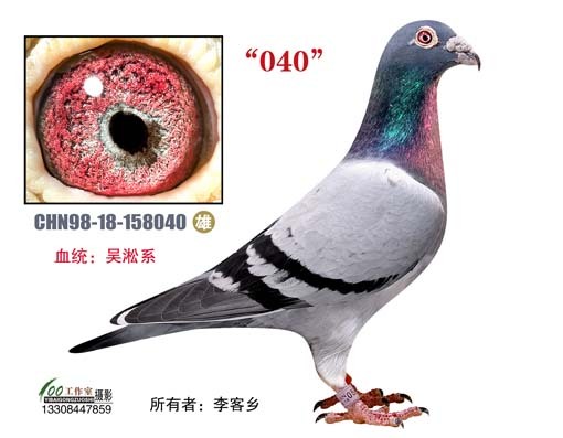 旋风1号