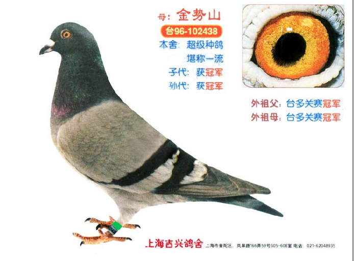 金势山"