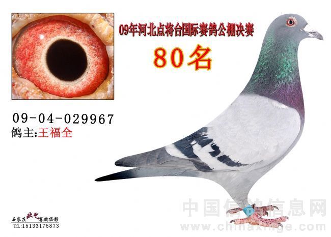 点将台80名