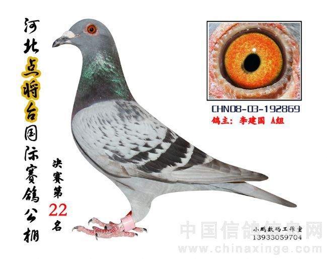 点将台22名