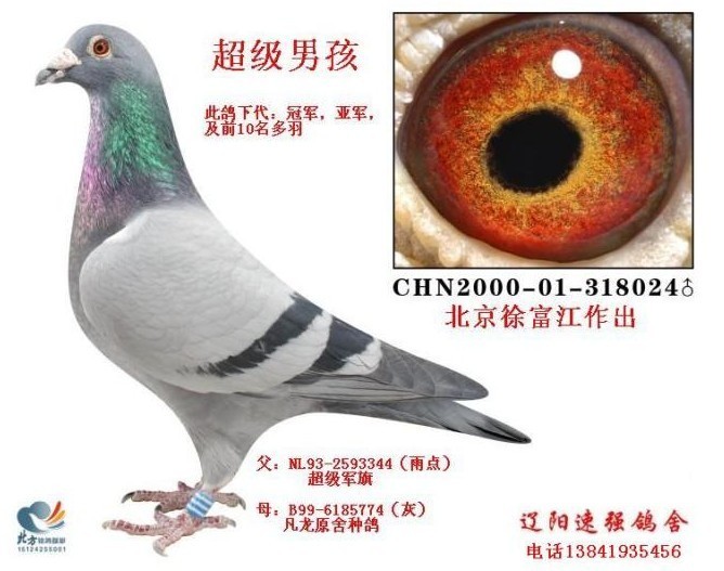 超级男孩