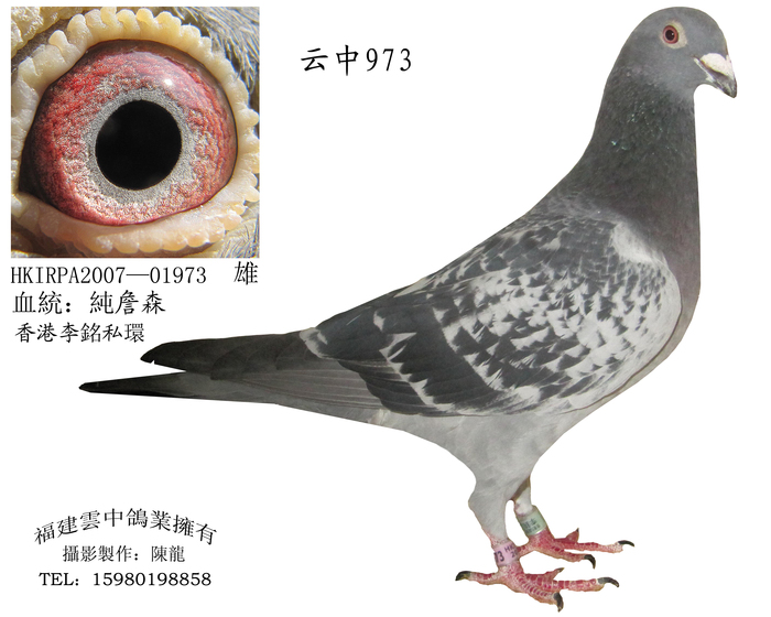 云中973