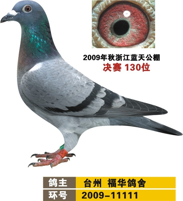 09K王