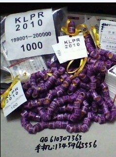 2010年台湾脚环KLPR
