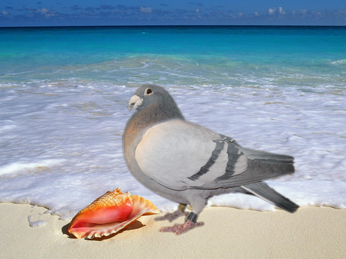 160
