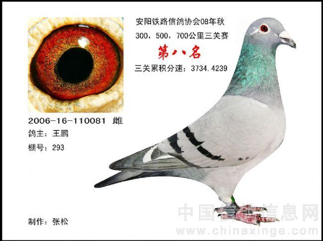 兄弟