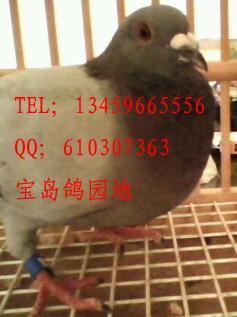 8名