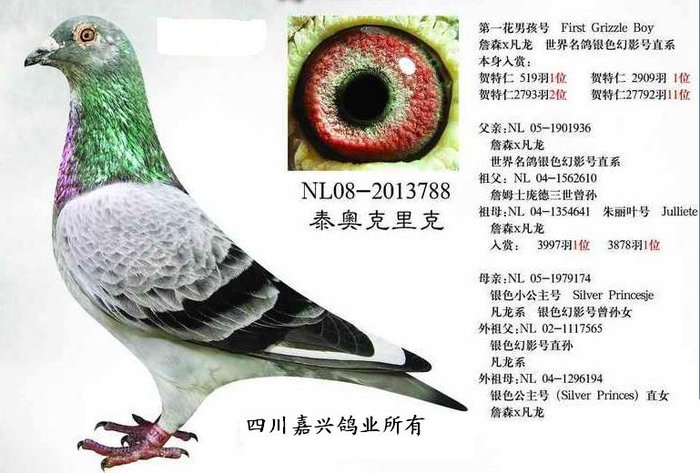 第一花麒麟男孩号