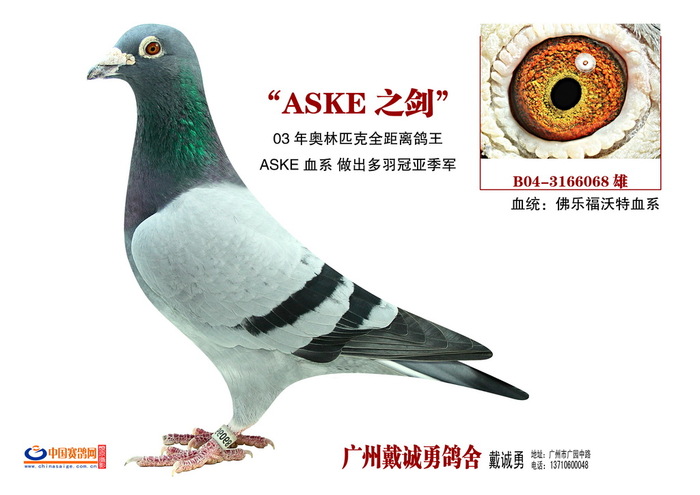 ASKE之剑