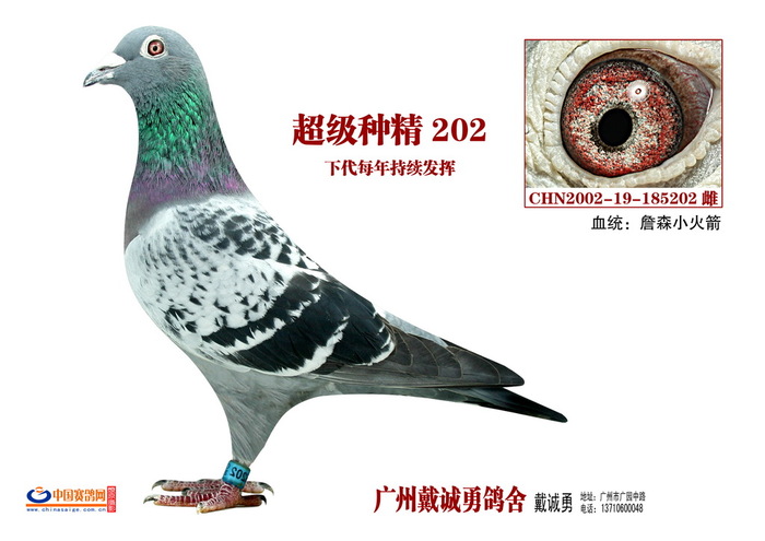 超级种精詹森202