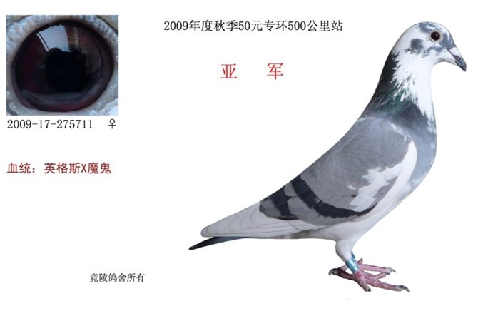 09年50元特比亚军