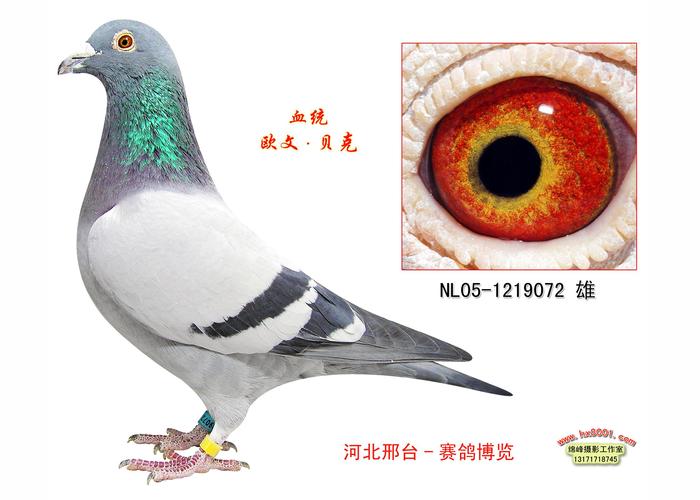 2158