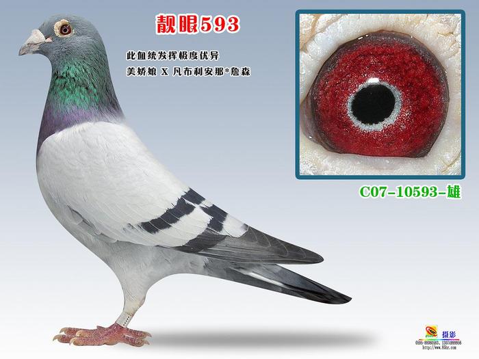品质第一