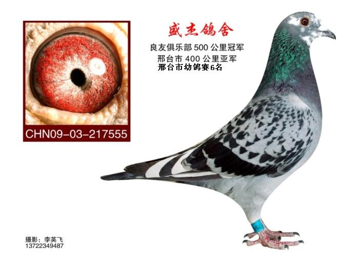 不败公主