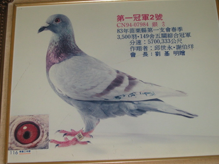 第一冠军2号