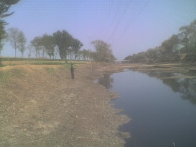 偷拍隆尧章河网鸽