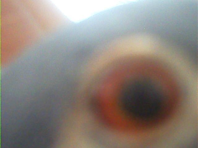 呵呵