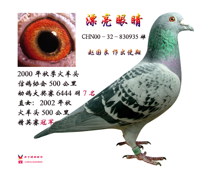 7名