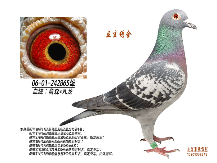 詹森*凡龙