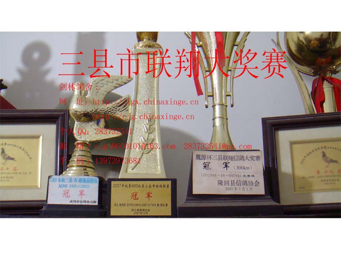 三县市联翔大奖赛