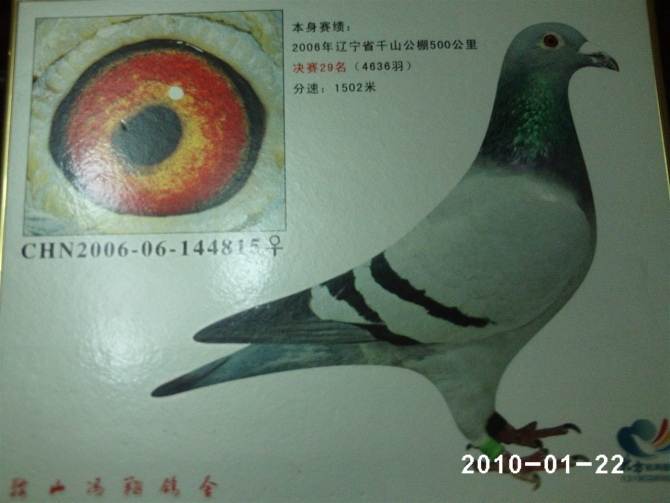 29名
