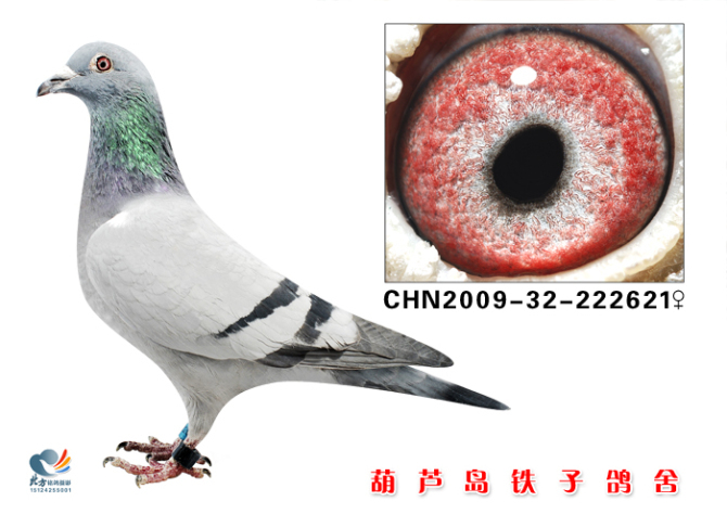六名直孙女