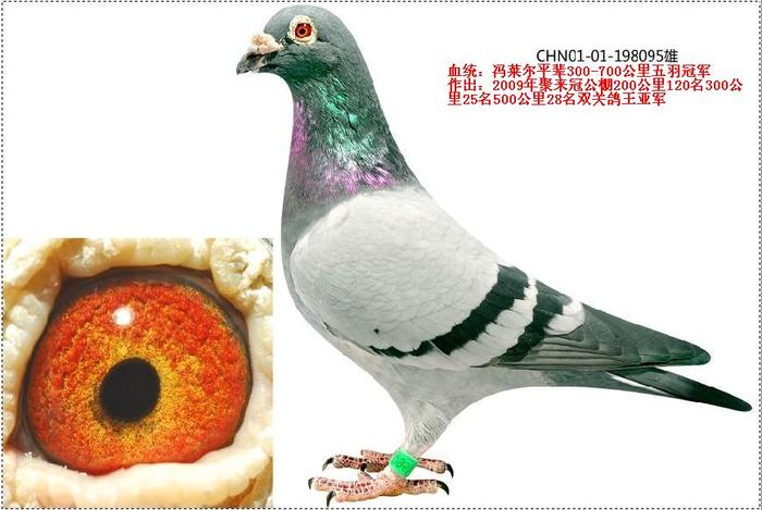 冯莱尔