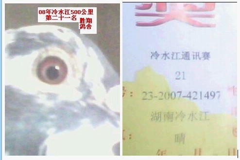 胜翔21名