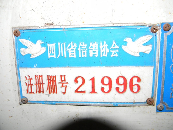 本人鸽舍