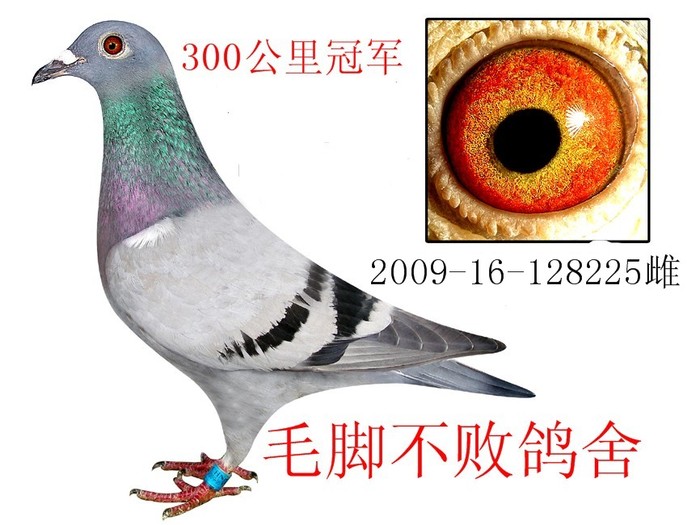 冠军