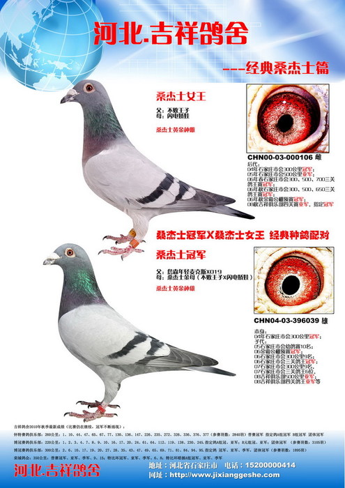 桑杰士经典配对