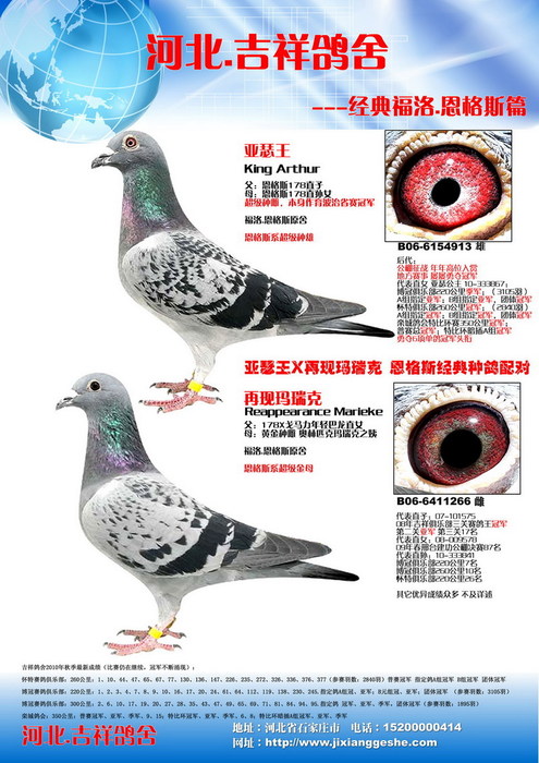 恩格斯经典配对