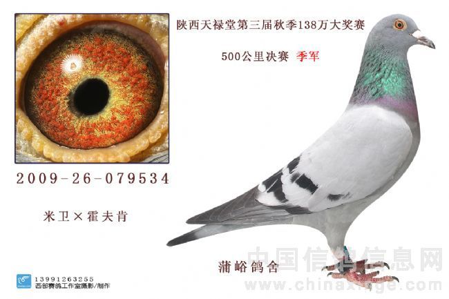 天禄堂季军