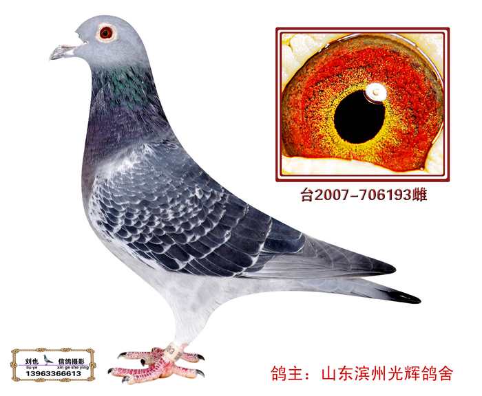 泰国193