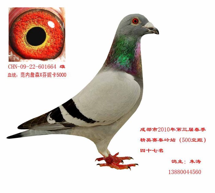 本舍2010年成都市第三届精英赛秦岭站（500空距）团体冠军成员