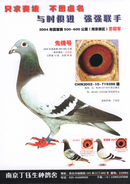 先锋号
