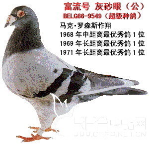富流