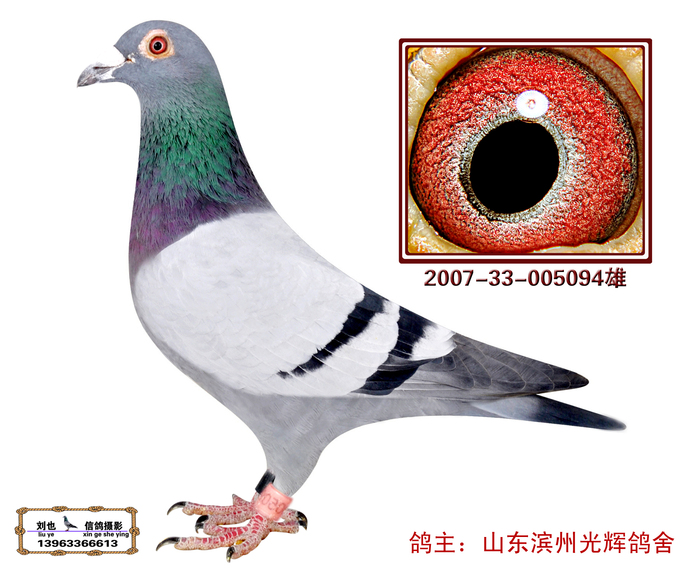 胡本