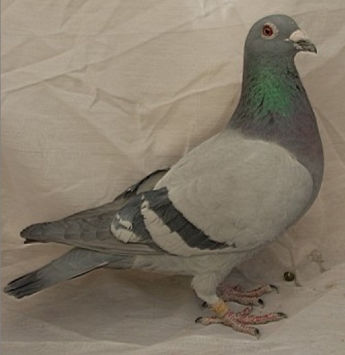 27名