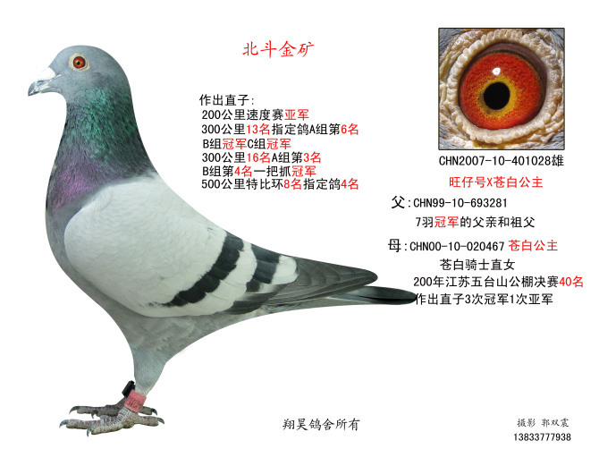 北斗金矿