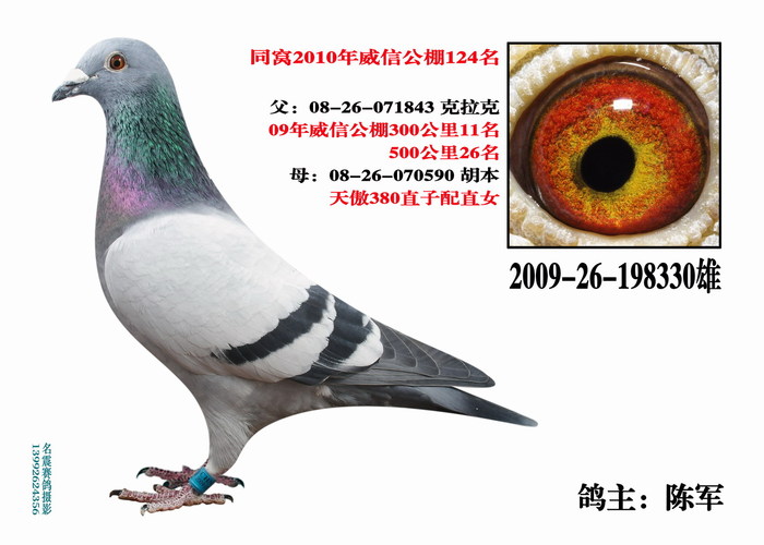 克拉克胡本