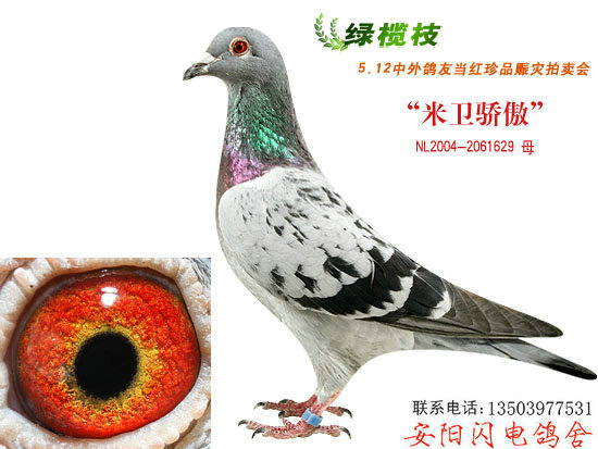 米为
