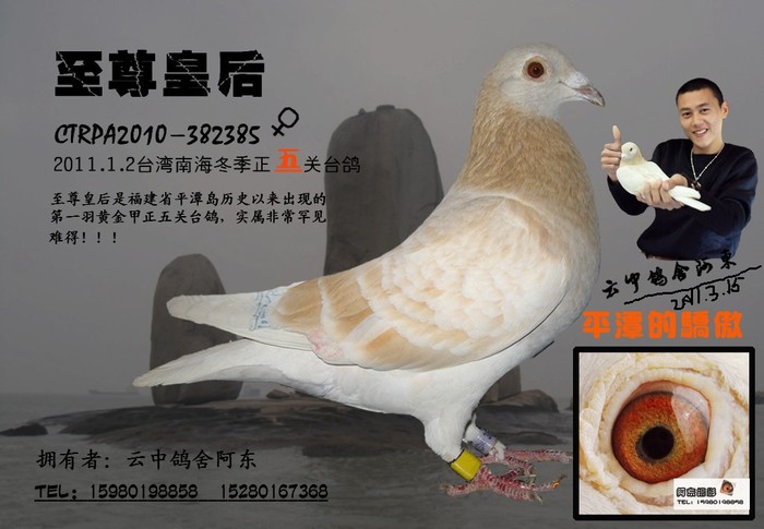 至尊皇后