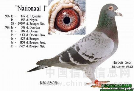 国家一号